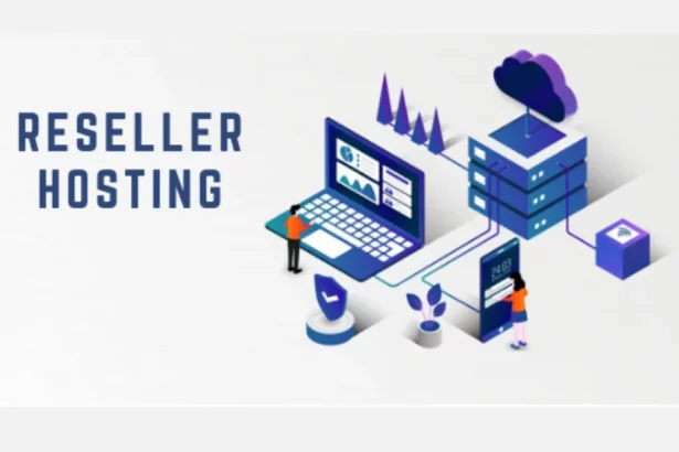 Reseller Hosting 
