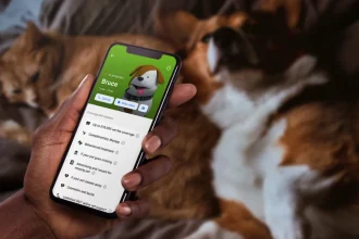 Pet Insurance
