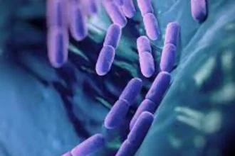 Probiotics
