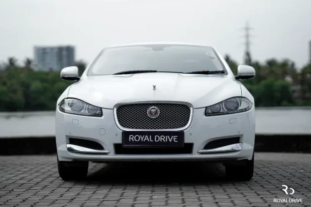 jaguar for sale