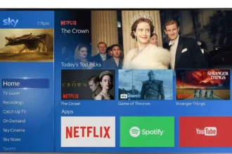 Sky Netflix