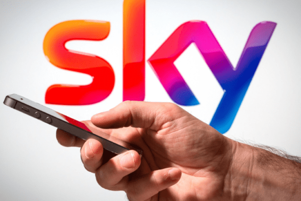 overview of Sky Limited