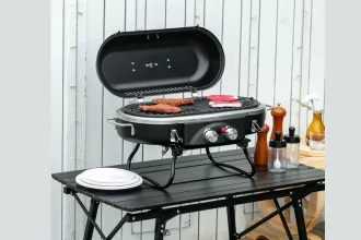 Portable Gas BBQ Grills