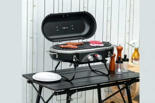 Portable Gas BBQ Grills