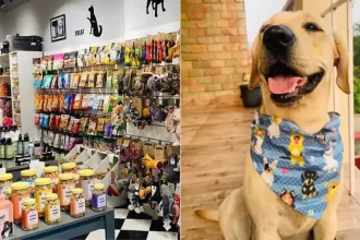 Dog accessories