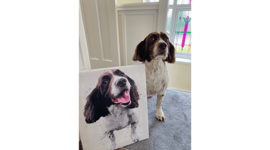Pet portrait canvas 