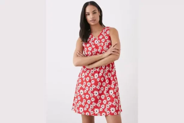 Women's skater dress