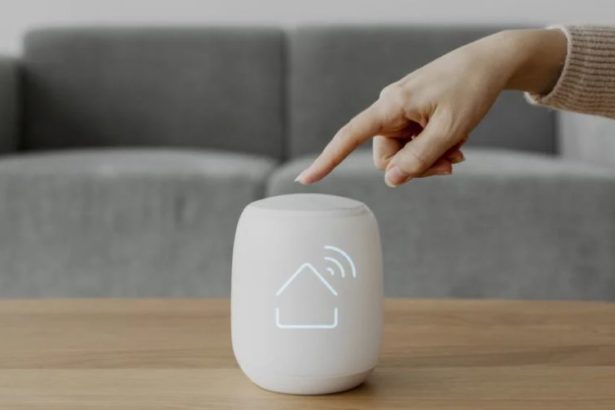 Smart Home Assistants